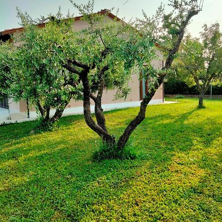 Il Melograno Apartamento Lucca Exterior foto